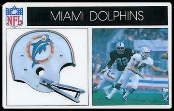 76P Miami Dolphins.jpg